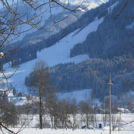 Appealing In Near * Saalfelden