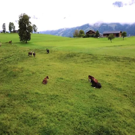 In Near Slopes Saalfelden